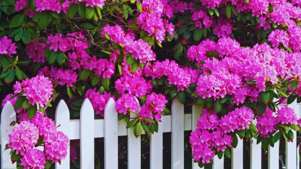 Spring Fence Prep Checklist Every Homeowner Should Follow